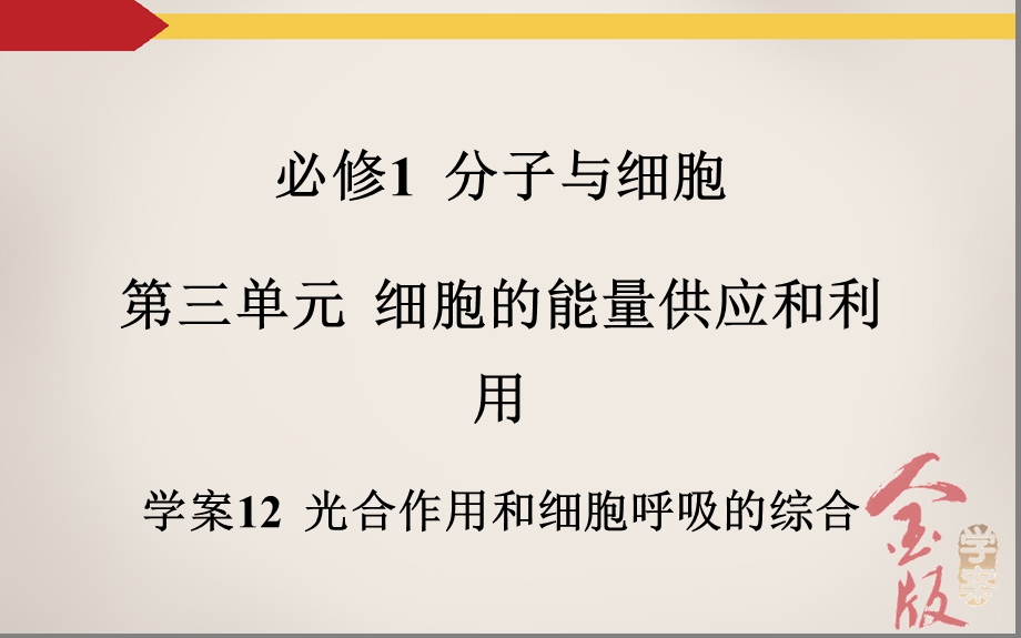 学案12光合作用和细胞呼吸的综合.ppt_第2页