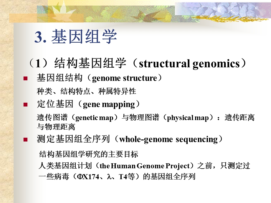 分子生物学张尚宏课件分子生物学.ppt_第2页