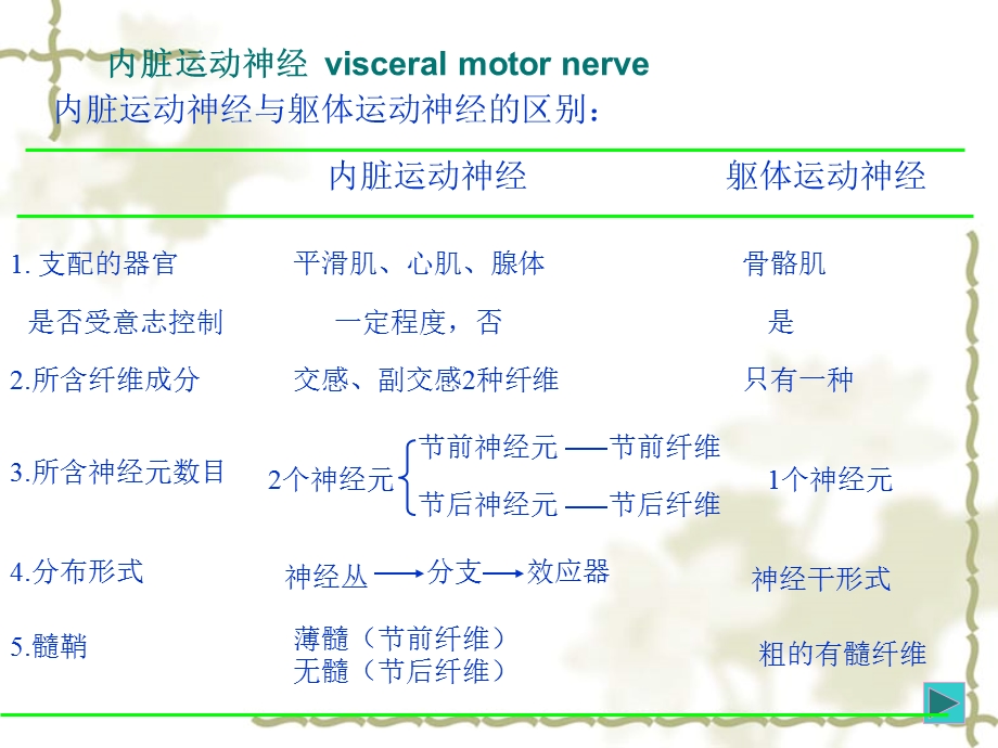 人体解剖学教学课件20内脏神经.ppt_第3页