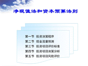 净现值法和资本预算法则.ppt