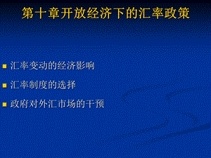 国际金融学ppt课件(第十章).ppt