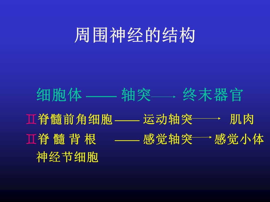 周围神经损伤的诊断与治疗.ppt_第2页