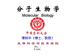 分子生物学第一章绪论.ppt