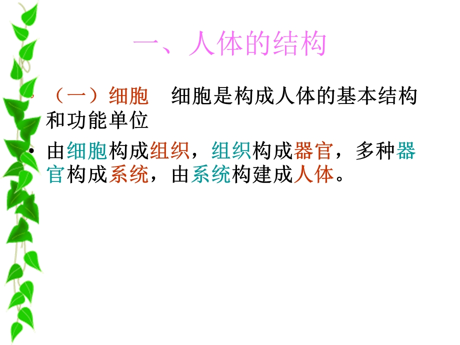 公共营养师第二章医学基础.ppt_第3页