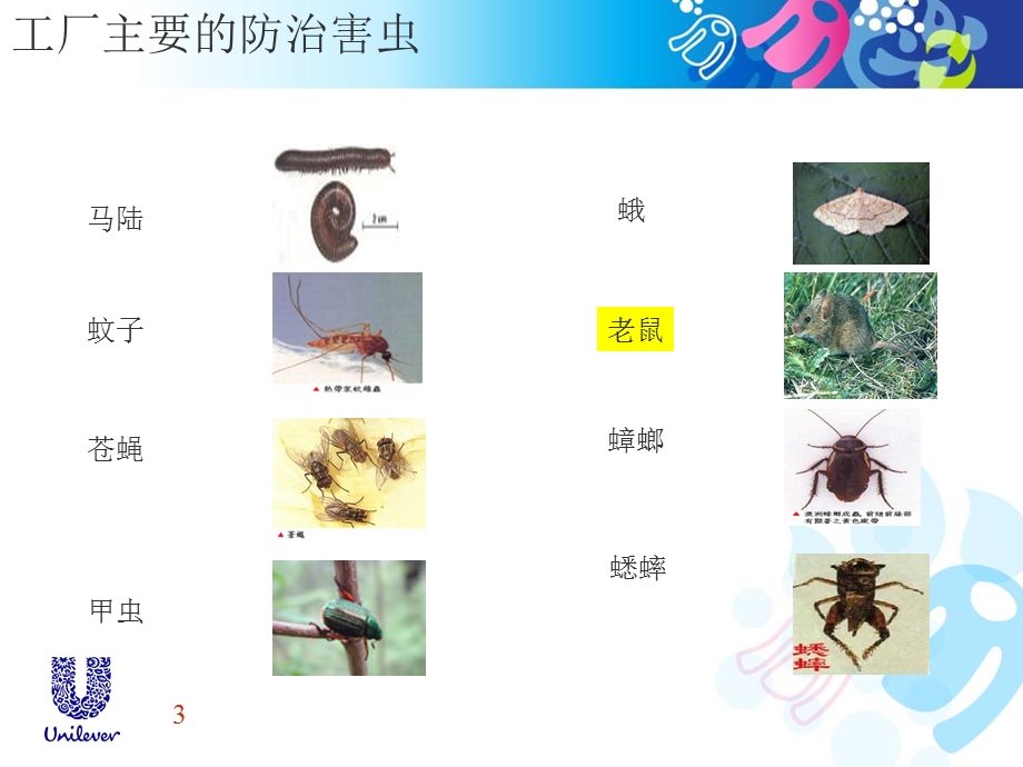 化妆品企业昆虫防治.ppt_第3页