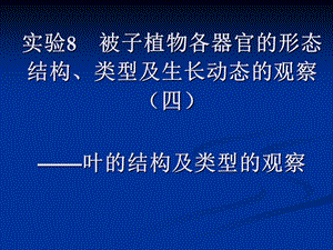 实验7被子植物各器官的形态结构.ppt