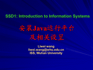 怎样安装workbench及设置环境变量.ppt