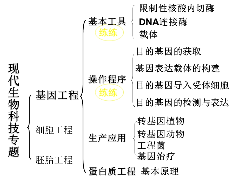 基因工程知识结构.ppt_第2页