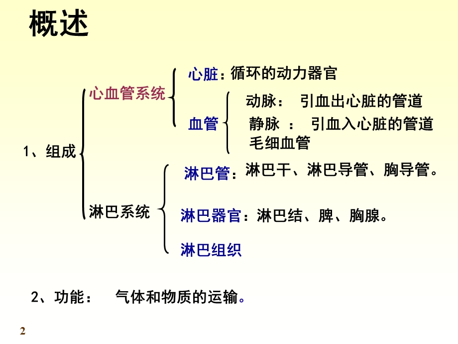 脉管系统心脏ppt课件.ppt_第2页