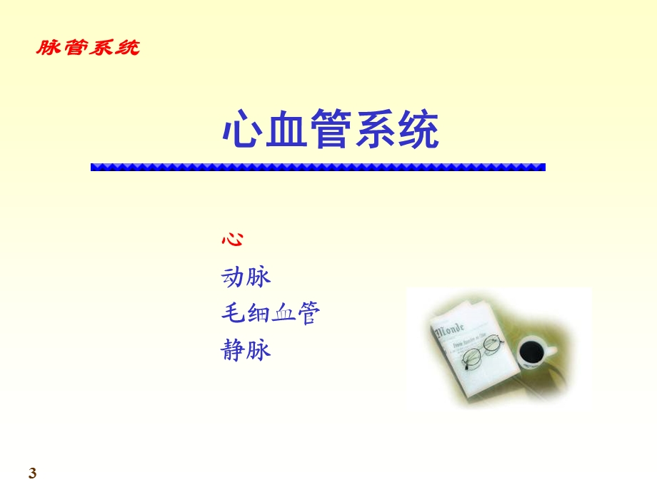 脉管系统心脏ppt课件.ppt_第3页