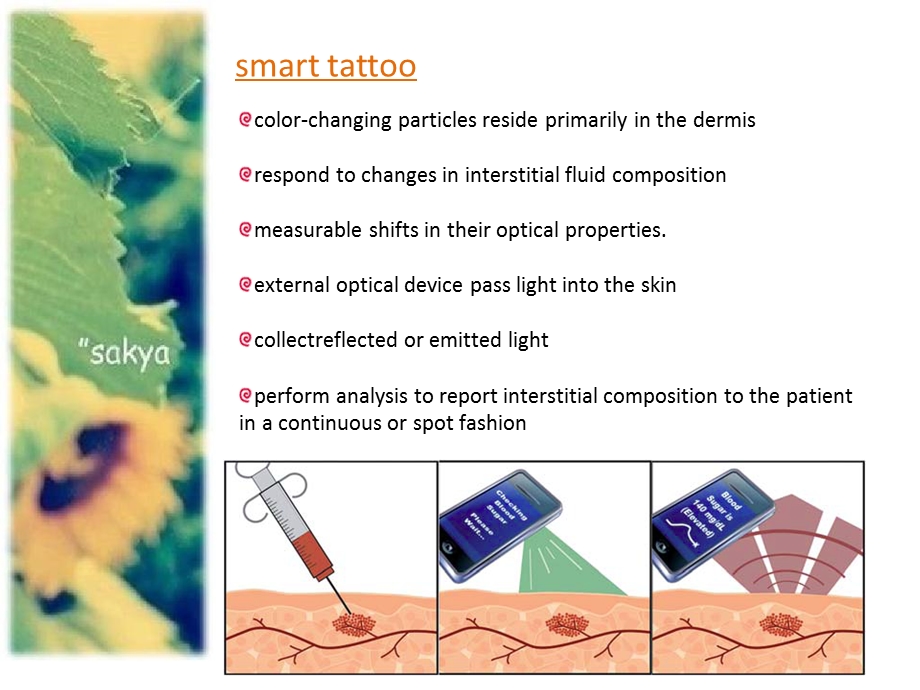 基于微胶囊的生物传感器.ppt_第3页