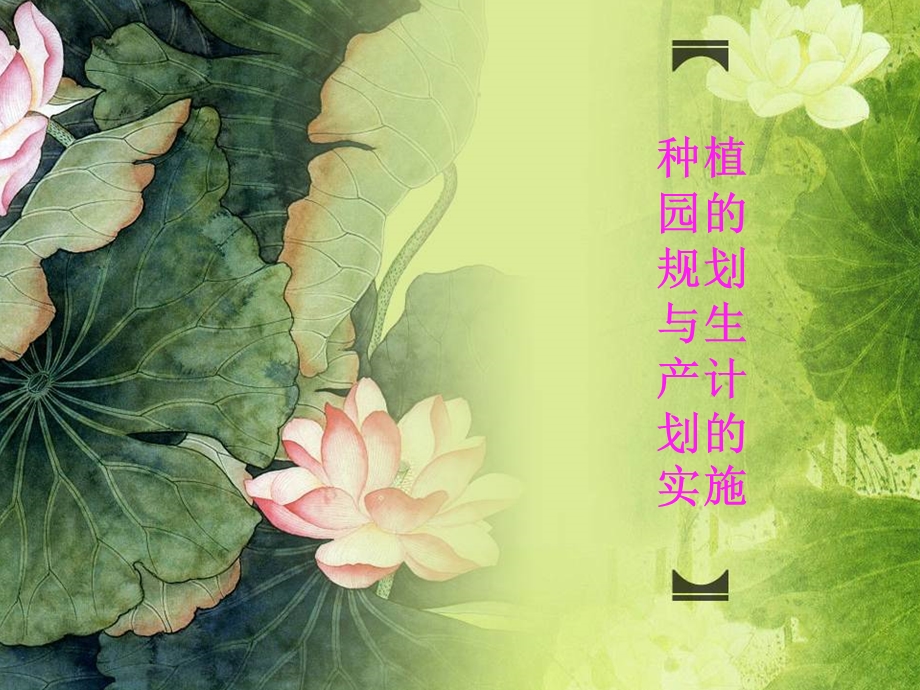 园艺植物种植园的规划与生产计划的实施.ppt_第1页