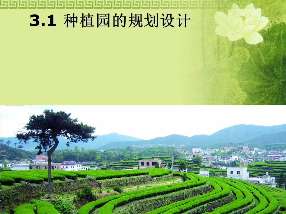 园艺植物种植园的规划与生产计划的实施.ppt_第3页