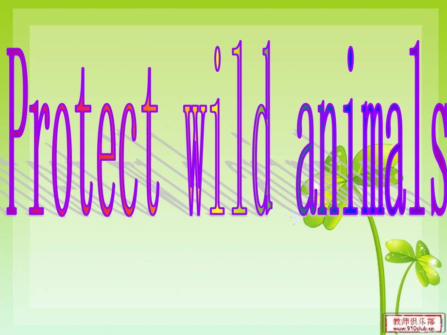 保护野生动物英语作文.ppt_第1页