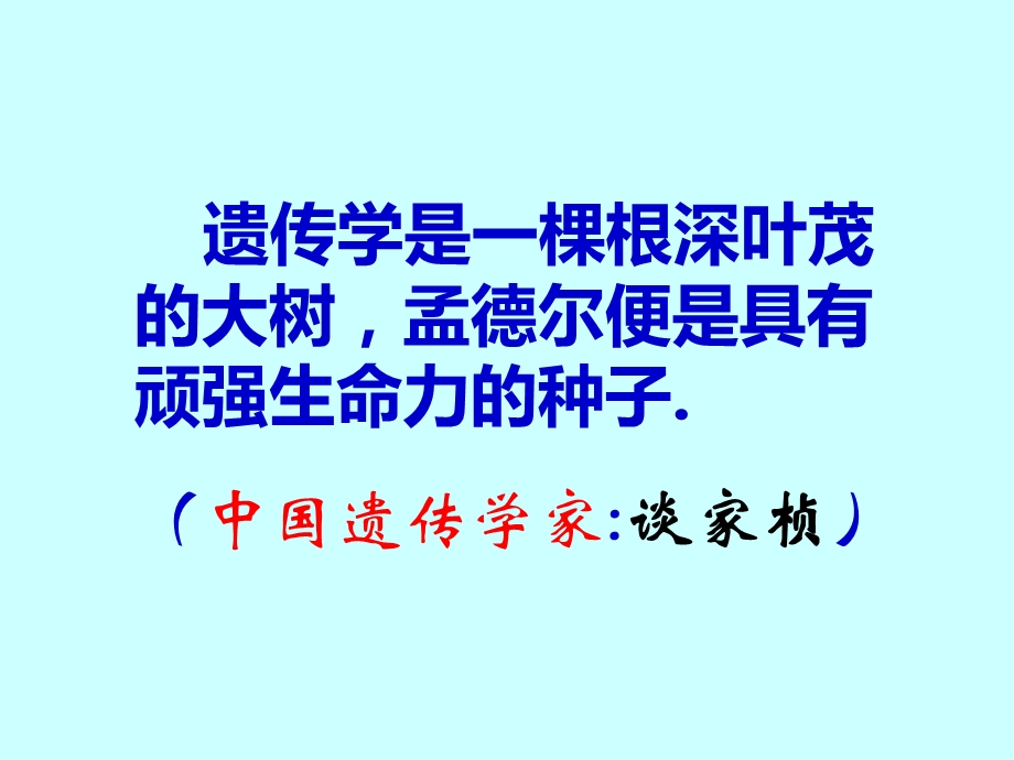 孟德尔的遗传实验一.ppt_第3页