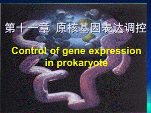 第十一章 原核基因表达调控.ppt