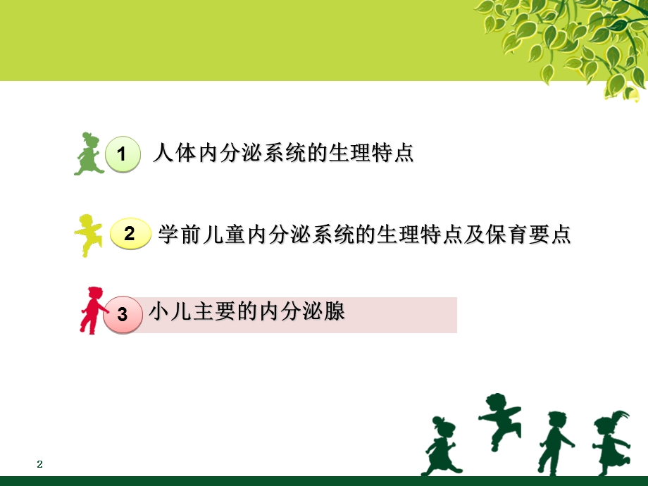 学前儿童卫生与保育第六节内分泌系统.ppt_第2页