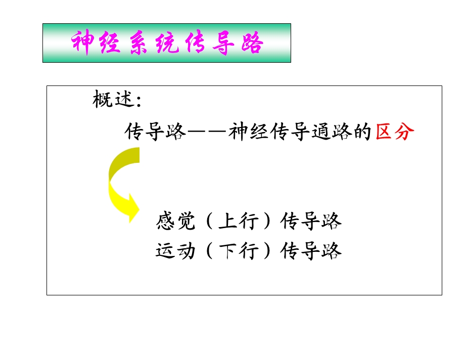 人体解剖学-临床传导路.ppt_第3页