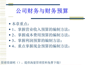 公司财务与财务预算.ppt