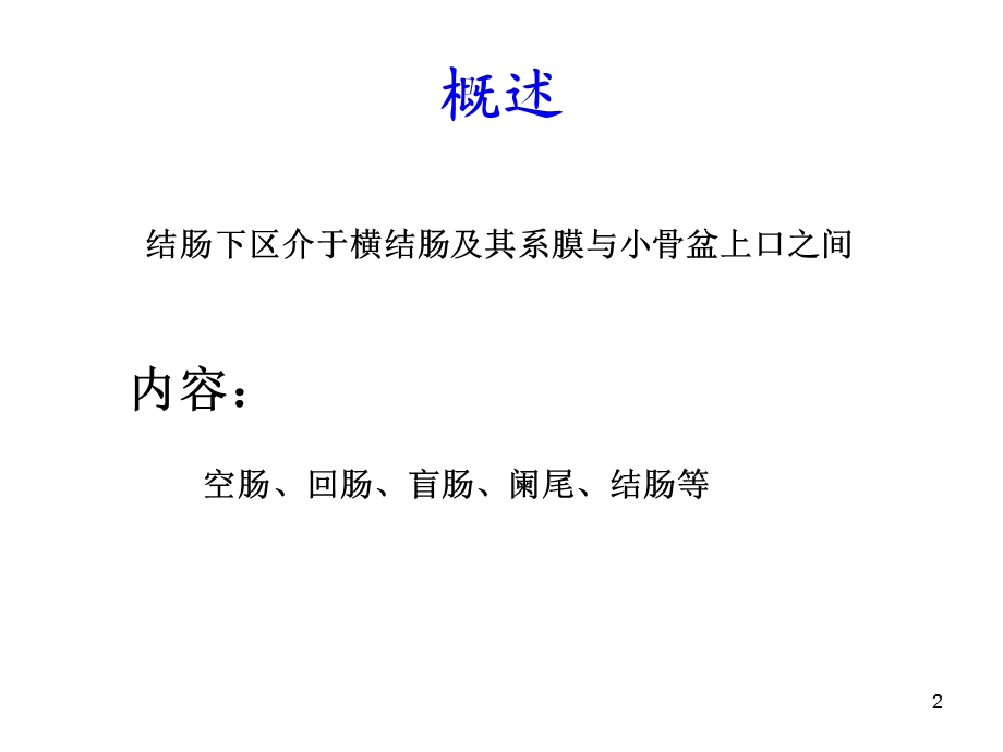 结肠下区局解.ppt_第2页