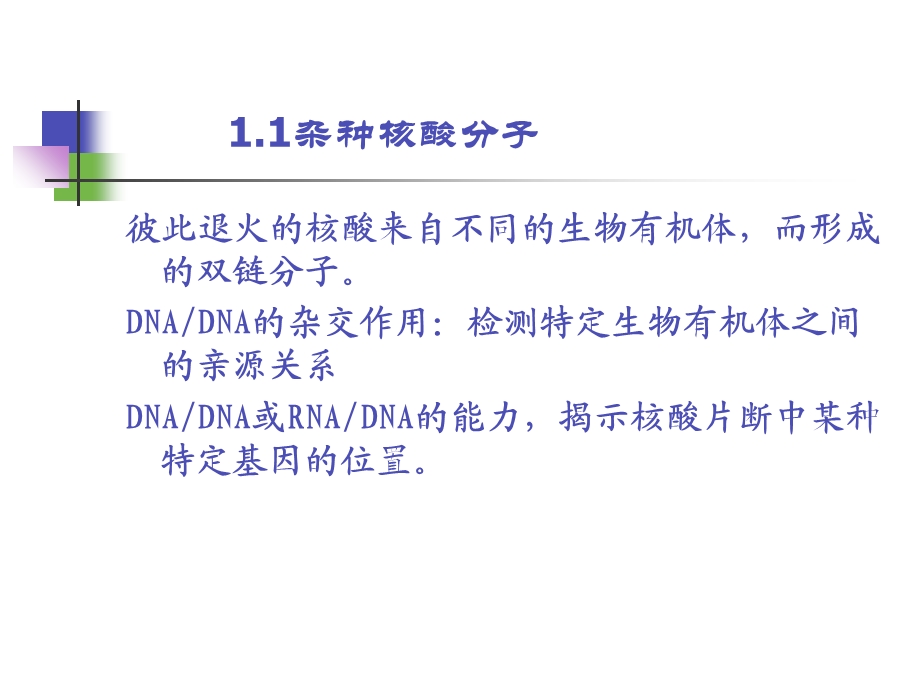 基因工程-2分子的杂交.ppt_第3页