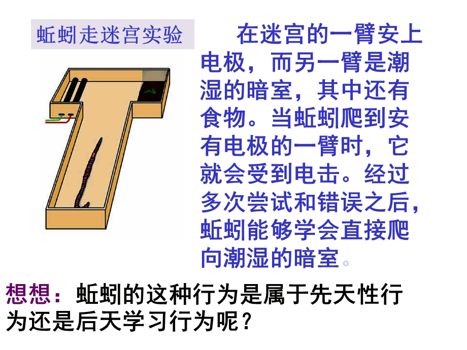 初二上生物教案动物行为的类型.ppt_第3页