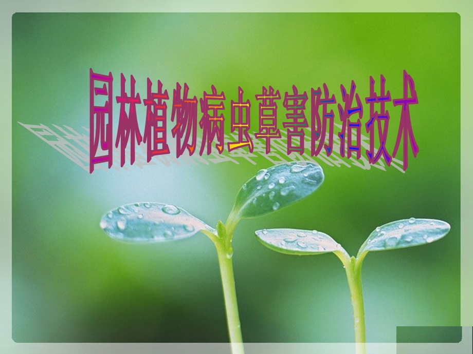 园林植物病虫草害防治技术.ppt_第1页