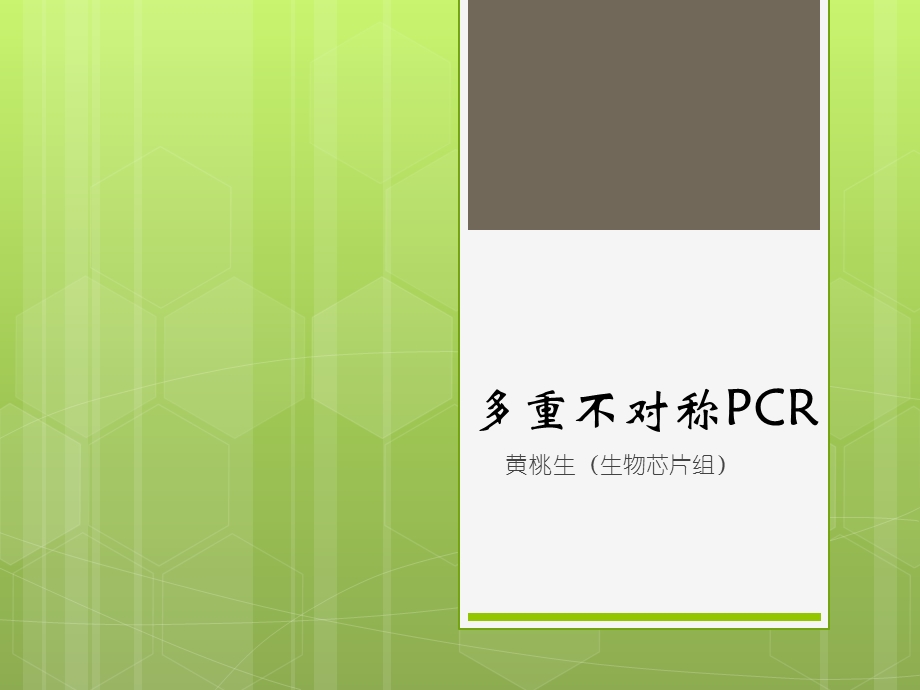 多重不对称扩增介绍.ppt_第1页