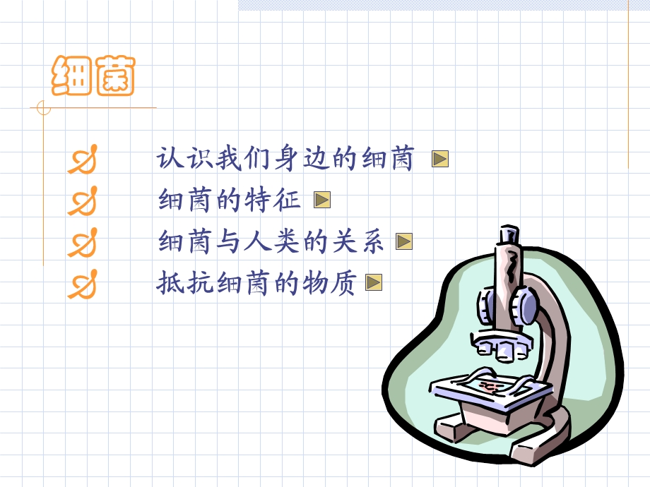 原核细胞的代表-细菌.ppt_第2页