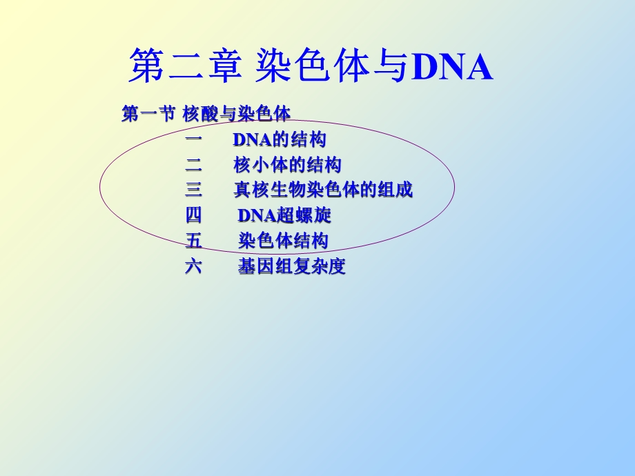 分子生物学复习题纲.ppt_第2页