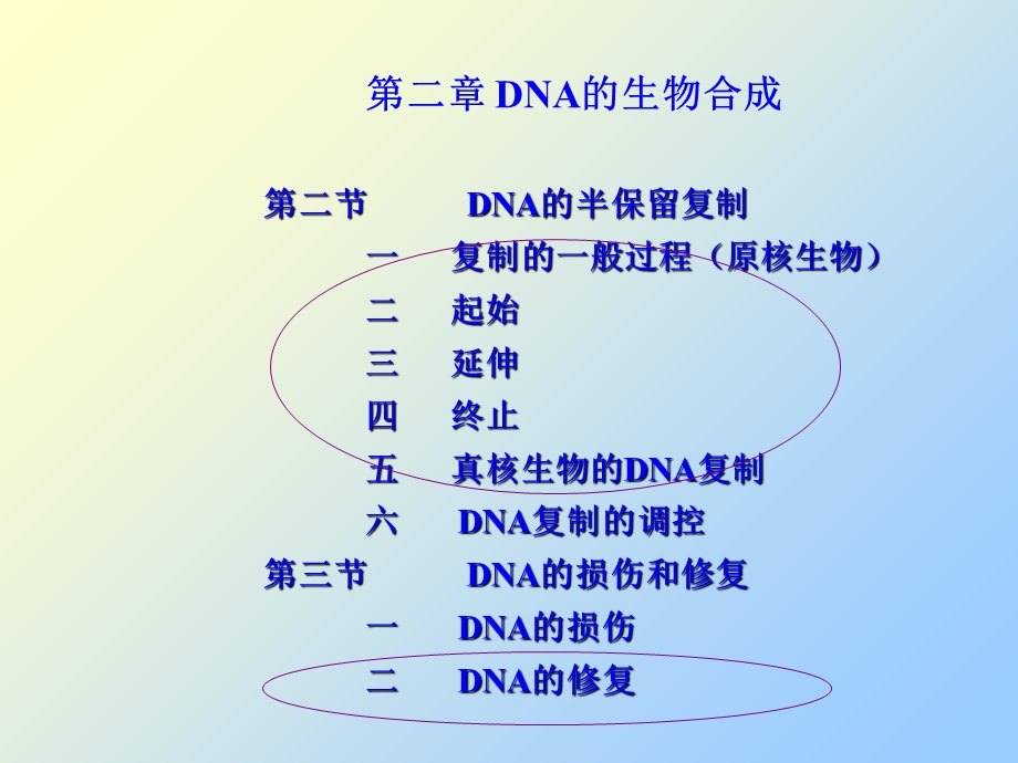 分子生物学复习题纲.ppt_第3页