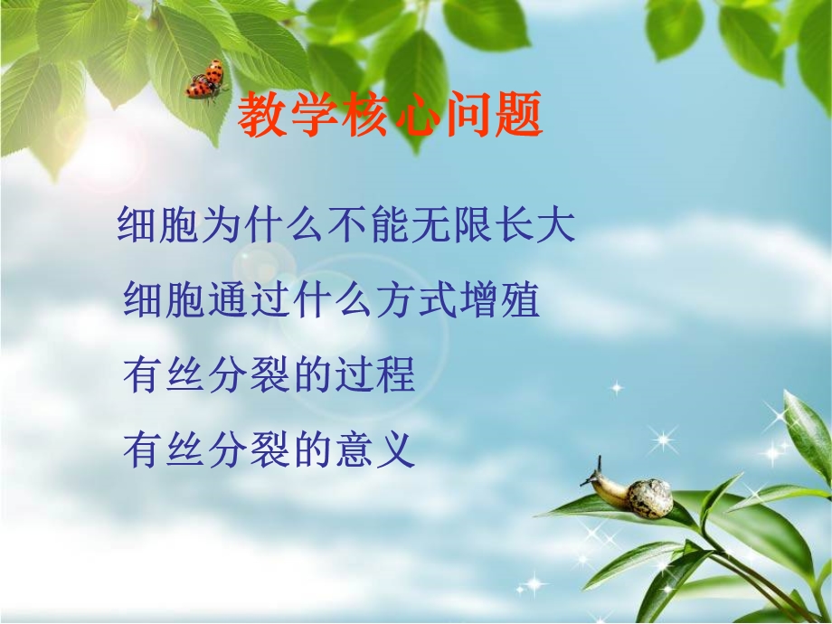 人教版教学课件细胞增殖的过程课件.ppt_第2页