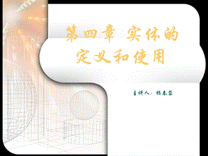 实体的定义和使用.ppt