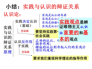 在实践中追求和发展真理.ppt