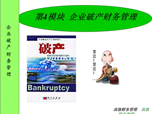 企业破产财务管理.ppt