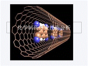 化学制药投资分析.ppt