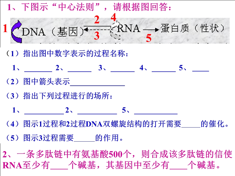 人教版教学课件基因突变与基因重组.ppt_第1页