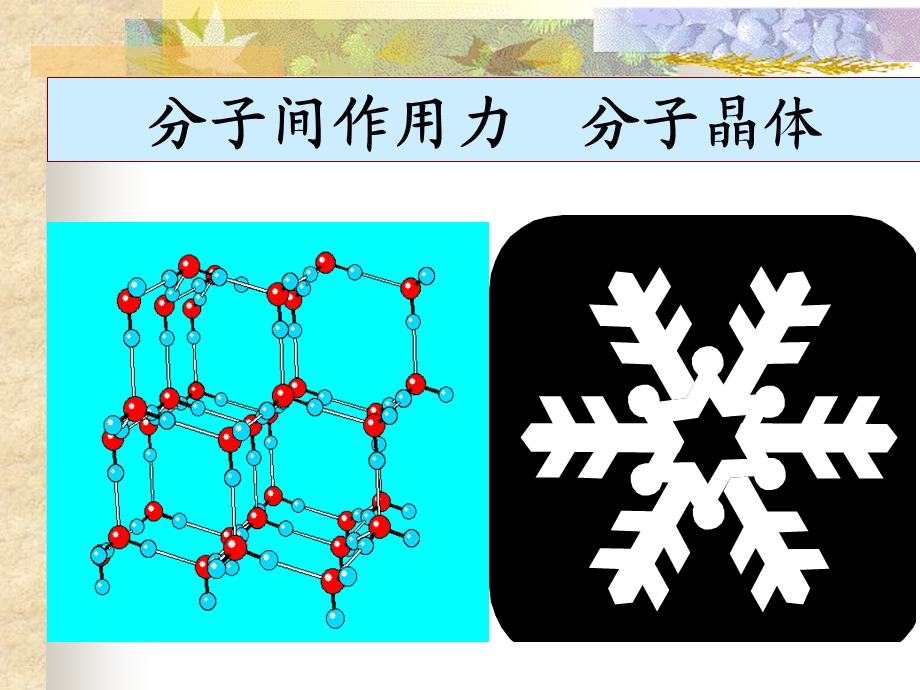 分子间作用力(含DNA).ppt_第1页