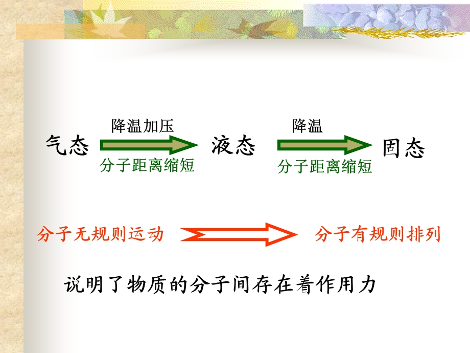 分子间作用力(含DNA).ppt_第2页