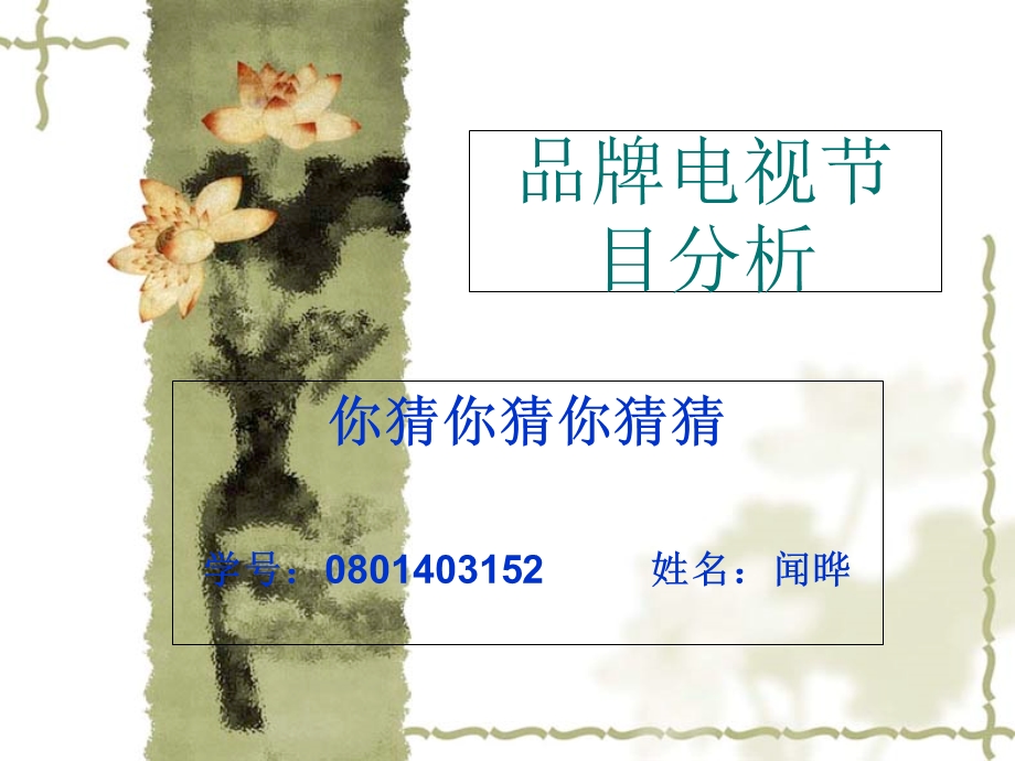 品牌电视节目分析.ppt_第1页