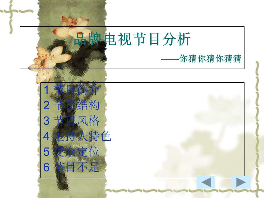 品牌电视节目分析.ppt_第2页