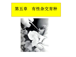 园林植物花卉育种学ppt课件第5章杂交育种.ppt