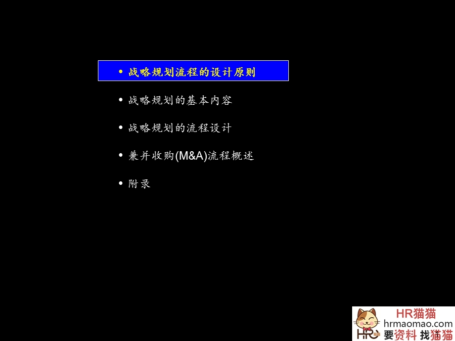 战略规划流程与方法麦肯锡HR猫猫.ppt_第2页