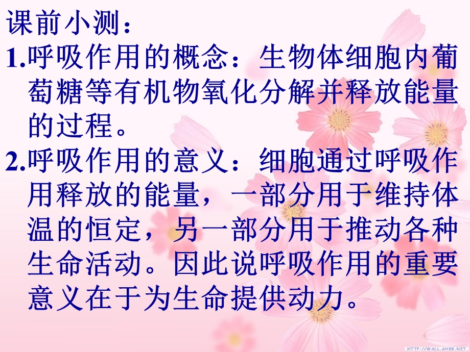 人体细胞获得氧气的过程.ppt_第1页