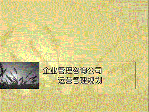 企业管理咨询公司运营管理规划.ppt