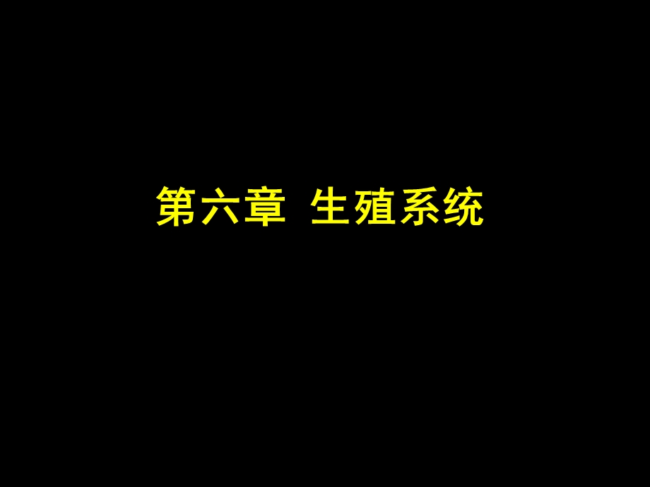 培训资料-第六章：生殖系统.ppt_第1页