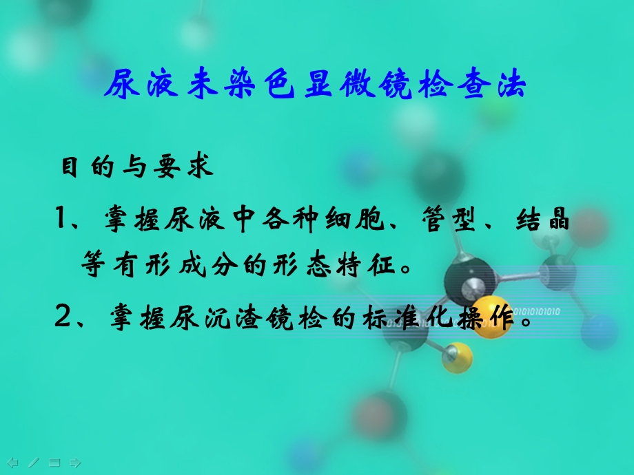 尿液沉渣分析ppt课件.ppt_第2页