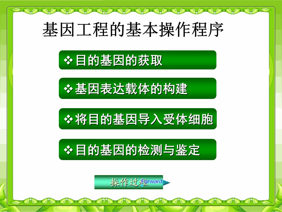 基因工程的操作程序.ppt_第2页