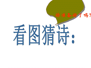 体会诗歌的语言美.ppt