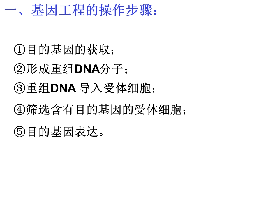 基因工程的原理和技术.ppt_第2页